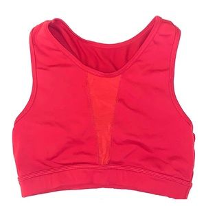 Alphalete Athletics Mesh Sports Bra